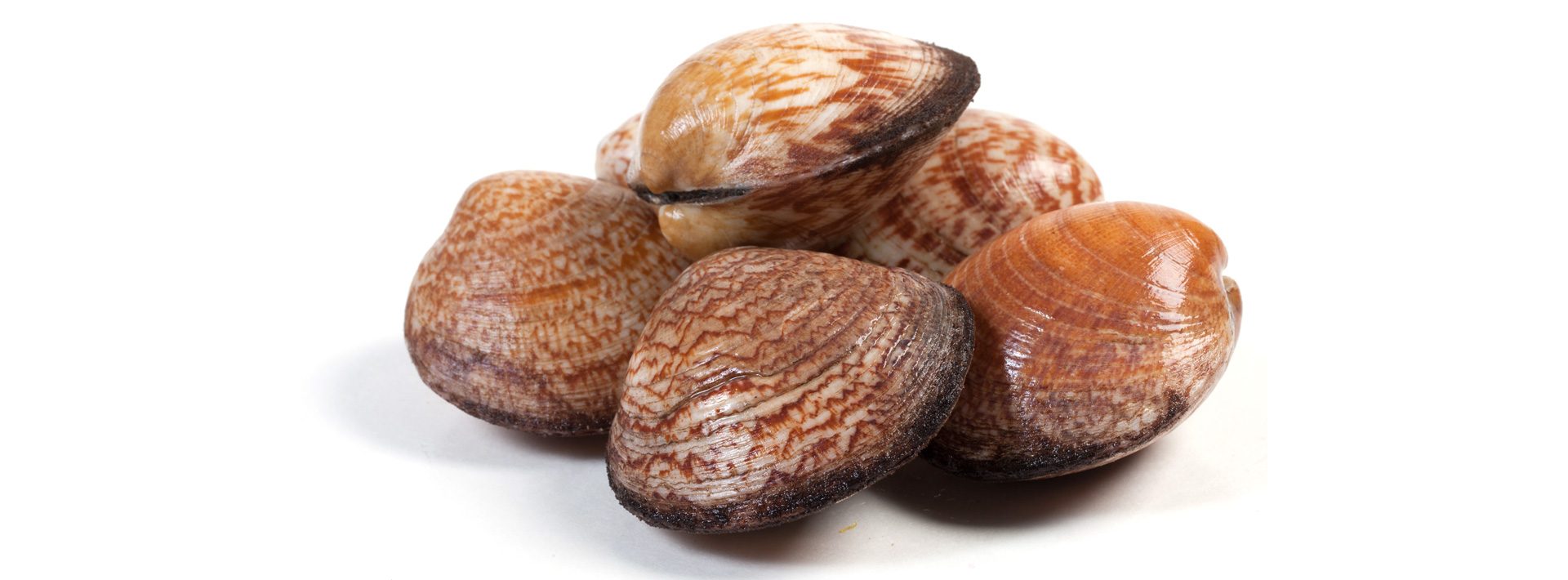 Amandes - Murko Seafood