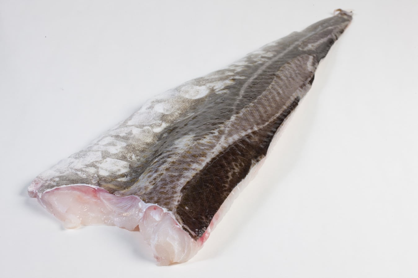 Kabeljauw - Murko Seafood