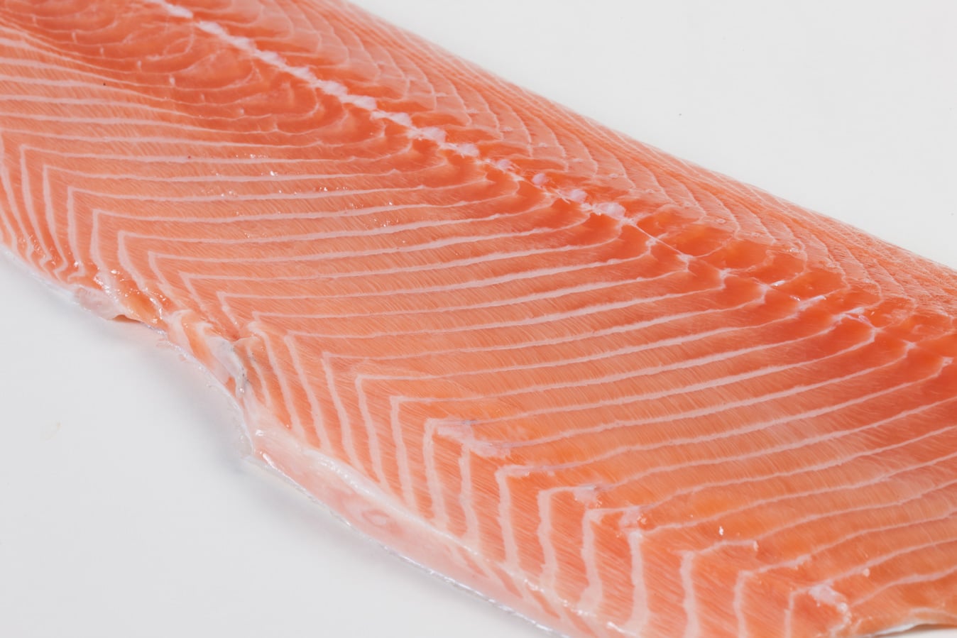 Atlantic Salmon - Murko Seafood