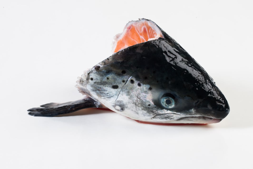 Atlantic Salmon - Murko Seafood